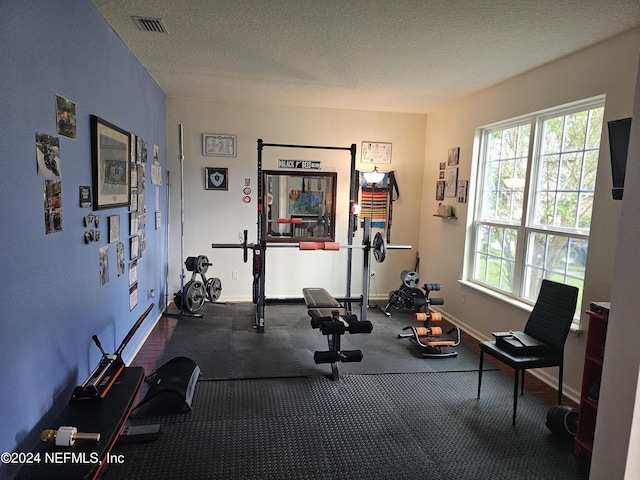 1075 Wetland Ridge Cir, Middleburg, FL 32068 - workout area featuring plenty of natural light, baseboards, visible vents, and a textured ceiling