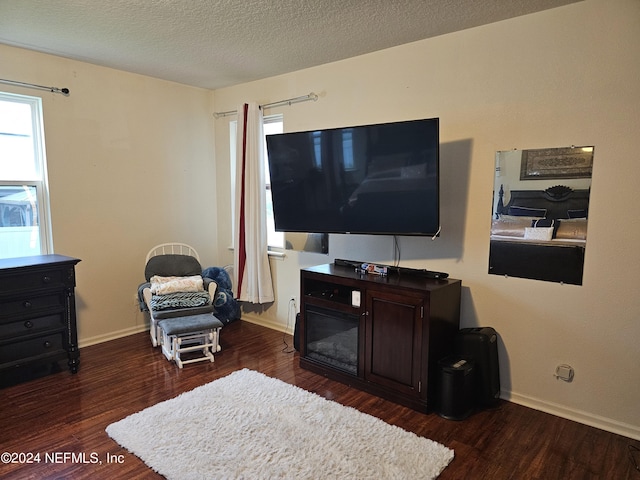1075 Wetland Ridge Cir, Middleburg, FL 32068 - living area with baseboards, dark wood-style flooring, and a textured ceiling