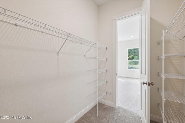 walk in closet featuring carpet floors