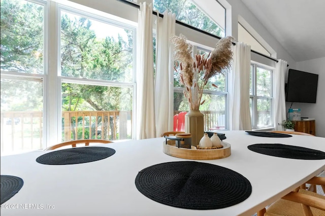 interior space featuring lofted ceiling and a wealth of natural light