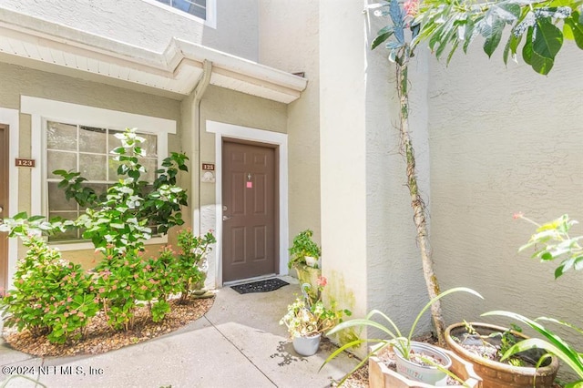 view of exterior entry with stucco siding