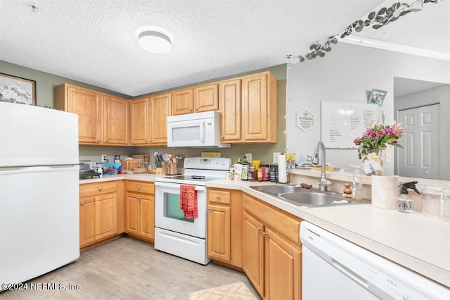 kitchen featuring a textured ceiling, a sink, light wood-style flooring, white appliances, and light countertops