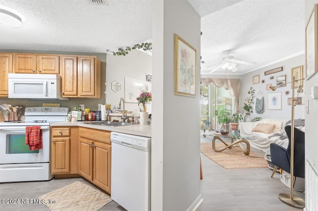 kitchen with a ceiling fan, a sink, a textured ceiling, white appliances, and light wood-style flooring