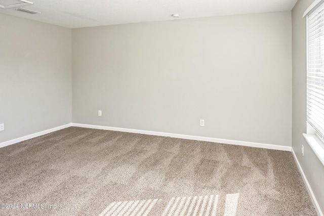 spare room with carpet