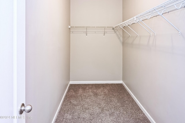 spacious closet with carpet