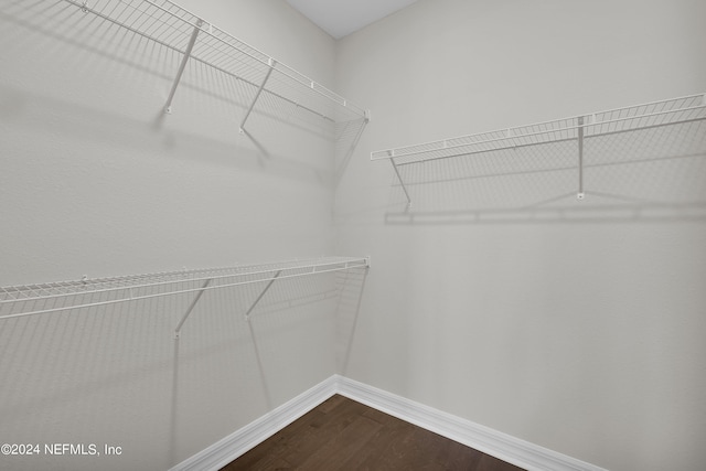 walk in closet with hardwood / wood-style floors