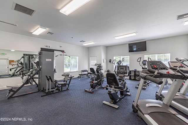 gym featuring carpet flooring