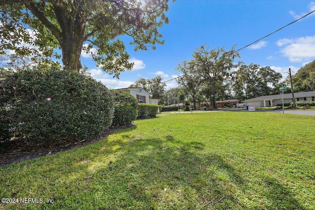 929 Bordeau Ave W, Jacksonville, FL 32211 - view of yard