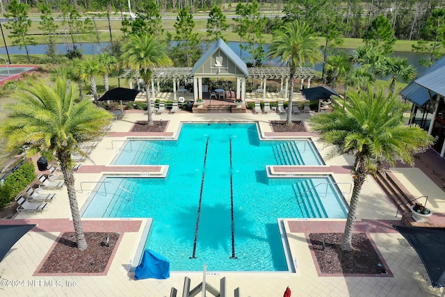 view of swimming pool featuring a pergola and a patio