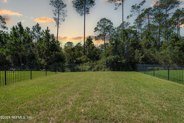 view of yard at dusk