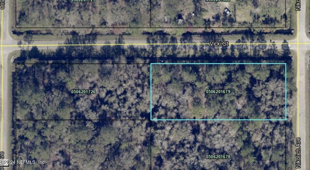 10305 Nikolich Ave, Hastings FL, 32145 land for sale