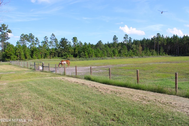 view of yard with a rural view