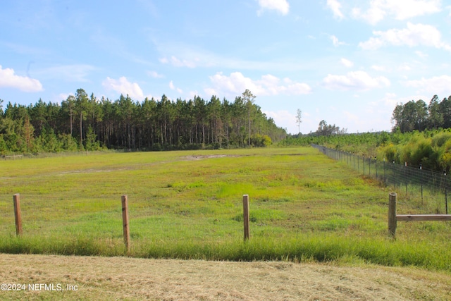 view of yard featuring a rural view