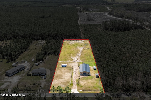 17667 Andrews Rd, Hilliard, FL 32046 - drone / aerial view