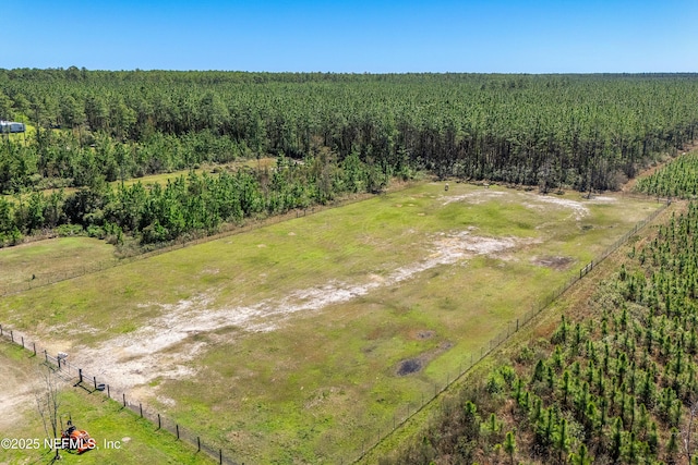 17667 Andrews Rd, Hilliard, FL 32046 - drone / aerial view featuring a rural view and a view of trees