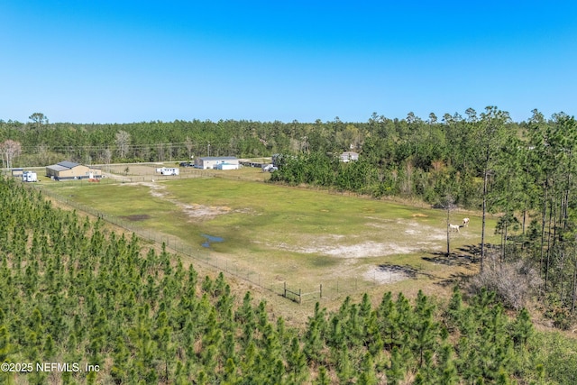17667 Andrews Rd, Hilliard, FL 32046 - birds eye view of property with a forest view and a rural view