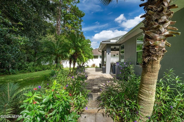 view of yard with a patio area