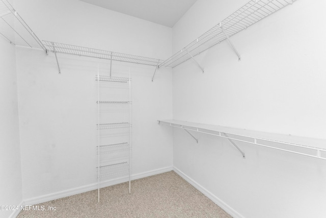 walk in closet with carpet floors