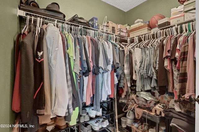 view of spacious closet