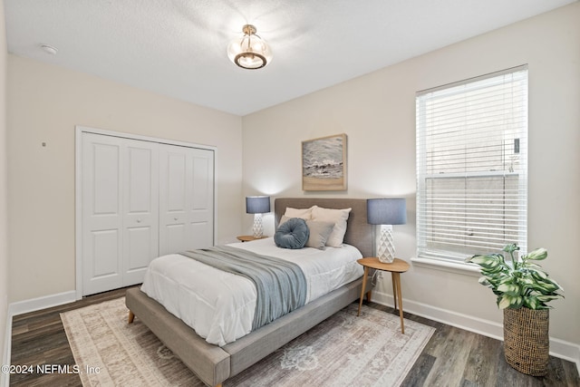 bedroom featuring a closet, dark hardwood / wood-style floors, and multiple windows