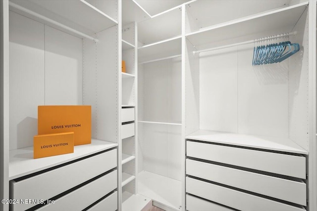 view of spacious closet