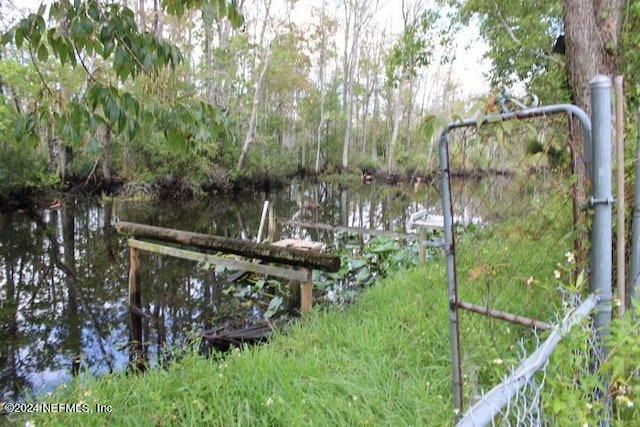 dock area with a water view