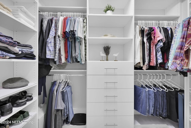 view of spacious closet