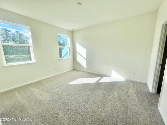 spare room with carpet and a healthy amount of sunlight