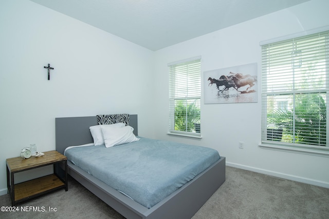 bedroom featuring multiple windows and carpet flooring