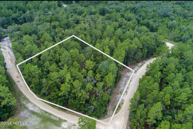 Listing photo 3 for 0 Grunion Rd, Florahome FL 32140