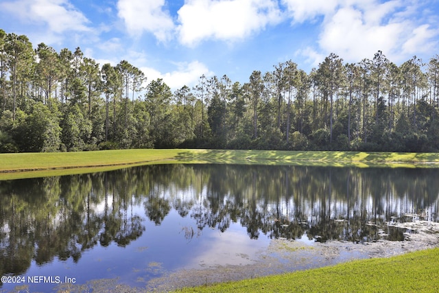 view of water feature