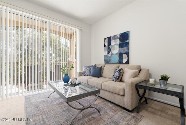 view of carpeted living room