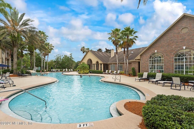 view of swimming pool featuring a patio area