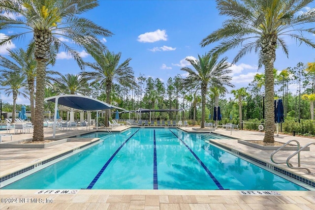 view of swimming pool featuring a patio