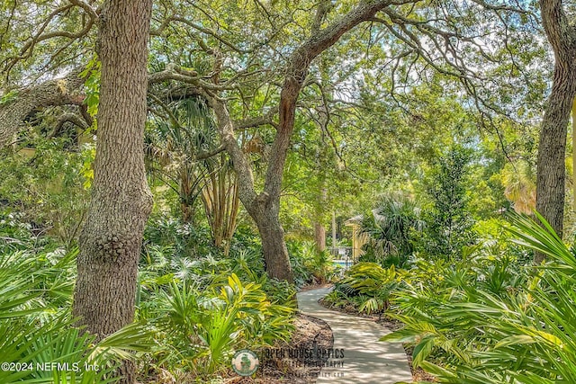 10150 Belle Rive Blvd Unit 2605, Jacksonville, FL 32256 - photo 50