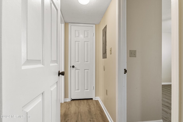 corridor with a textured ceiling, electric panel, and light hardwood / wood-style flooring