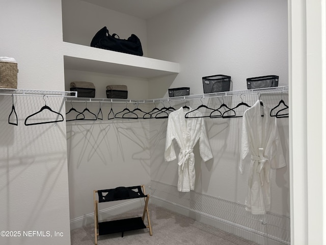 49 Pathway Ct, Saint Johns, FL 32259 - spacious closet with carpet floors