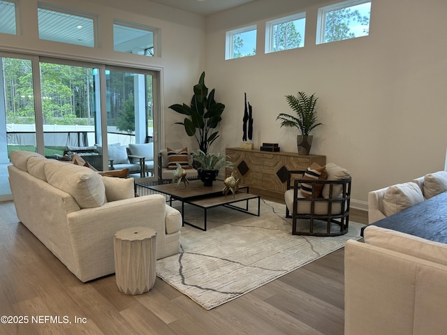 49 Pathway Ct, Saint Johns, FL 32259 - living room with wood finished floors