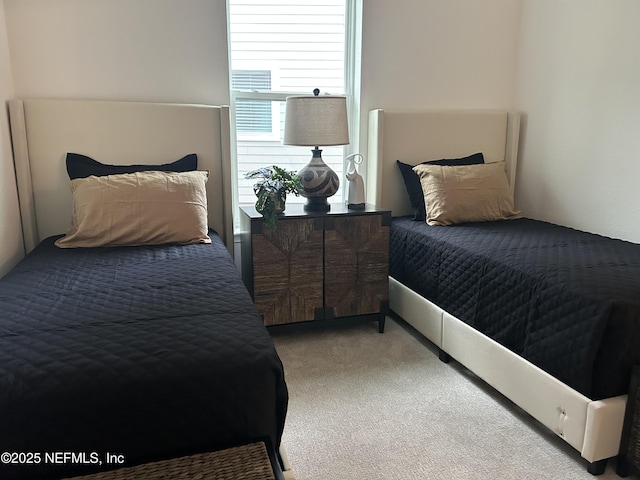49 Pathway Ct, Saint Johns, FL 32259 - view of carpeted bedroom