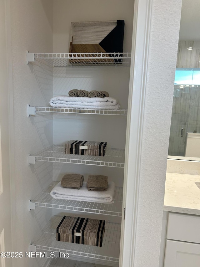 49 Pathway Ct, Saint Johns, FL 32259 - view of closet