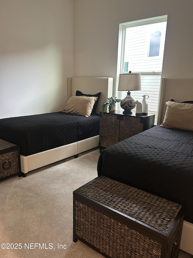 49 Pathway Ct, Saint Johns, FL 32259 - bedroom with carpet floors