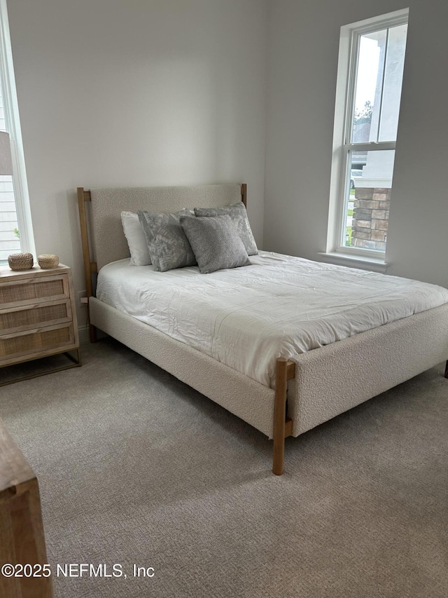 49 Pathway Ct, Saint Johns, FL 32259 - view of carpeted bedroom