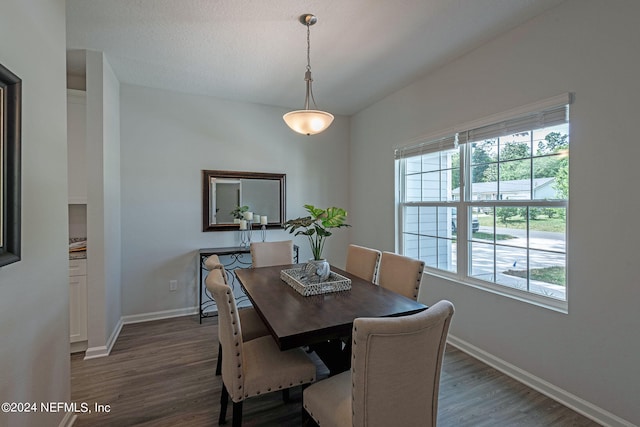 dining room featuring a textured ceiling and dark hardwood / wood-style flooring