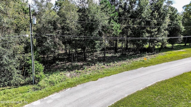 4644 Hedgehog St, Middleburg, FL 32068