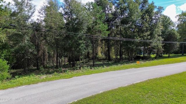 4644 Hedgehog St, Middleburg, FL 32068