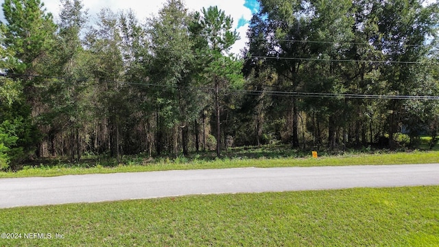 4644 Hedgehog St, Middleburg, FL 32068