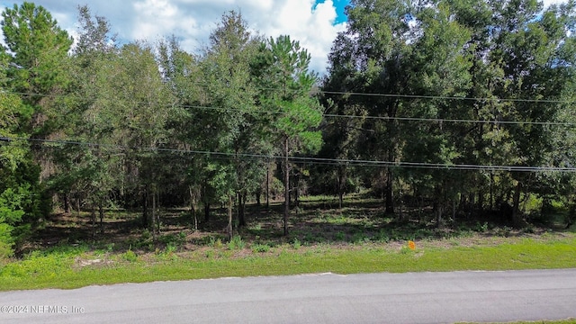 4644 Hedgehog St, Middleburg, FL 32068