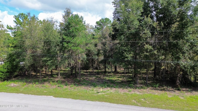 4644 Hedgehog St, Middleburg FL, 32068 land for sale