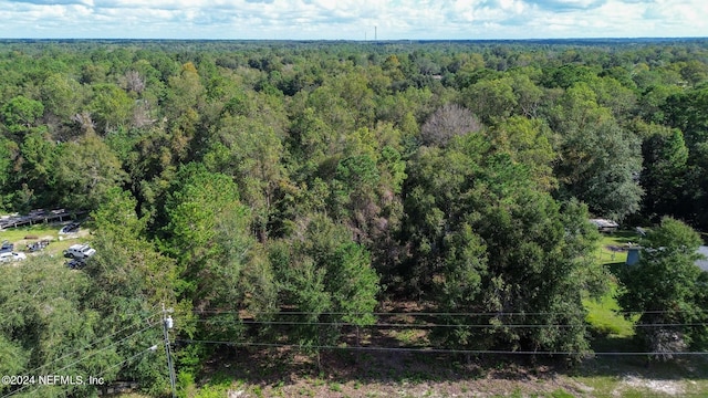 4644 Hedgehog St, Middleburg, FL 32068