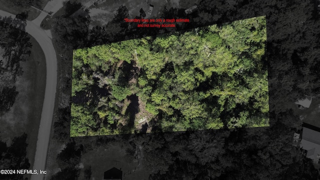 4644 Hedgehog St, Middleburg, FL 32068